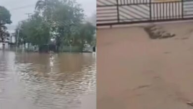 El despertar de Carabobo: Calles y avenidas amanecen cubiertas de lodo tras intensas precipitaciones