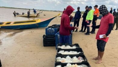 Gobierno de Falcón y empresas chino-venezolanas acuerdan la seguridad para la exportación de especies marinas