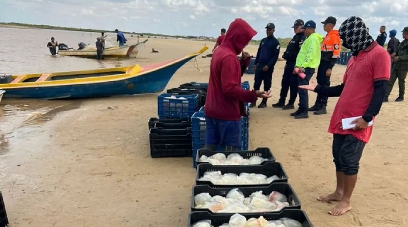Gobierno de Falcón y empresas chino-venezolanas acuerdan la seguridad para la exportación de especies marinas