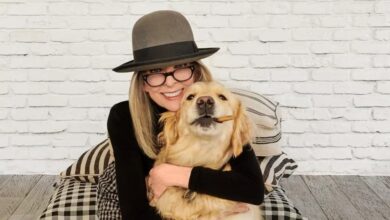 El amor canino de Hollywood: Diane Keaton deja $5 millones de dólares en fideicomiso para su golden retriever, Reggie