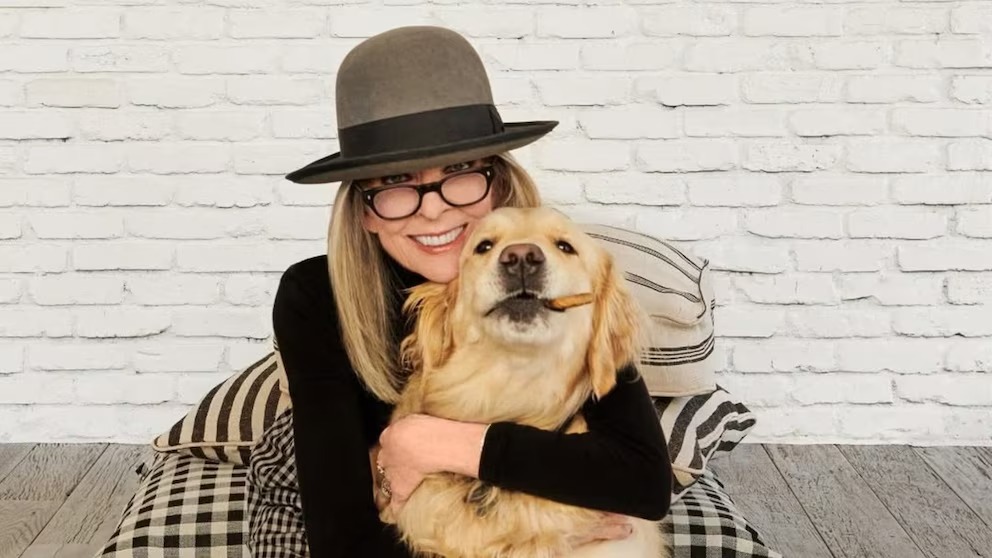 El amor canino de Hollywood: Diane Keaton deja $5 millones de dólares en fideicomiso para su golden retriever, Reggie
