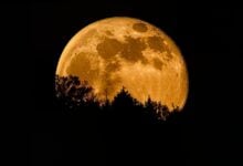 La primera superluna del año deslumbra este lunes: se verá un 14 % más grande y un 30 % más brillante