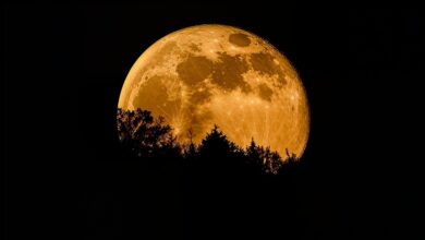 La primera superluna del año deslumbra este lunes: se verá un 14 % más grande y un 30 % más brillante