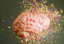 ¿Cerebro adolescente hasta los 32? Nuevo estudio revela que la materia blanca sigue creciendo en esa etapa