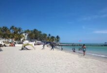 «Ya estamos organizados»: Agencias de viajes con expectativas positivas para diciembre