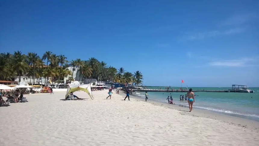 «Ya estamos organizados»: Agencias de viajes con expectativas positivas para diciembre