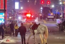 Cuatro heridos tras tiroteo en un evento navideño en EE. UU.