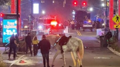 Cuatro heridos tras tiroteo en un evento navideño en EE. UU.