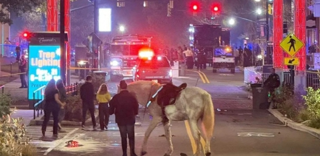 Cuatro heridos tras tiroteo en un evento navideño en EE. UU.