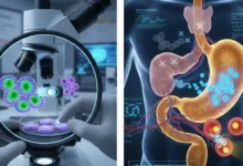 Científicos transforman células del estómago en productoras de insulina para combatir la diabetes tipo 1