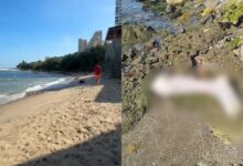 Descubren restos humanos en plena zona turística de La Guaira