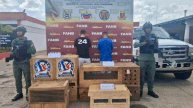 Detienen a dos hombres en Bolívar por tráfico de 11 monos viudita