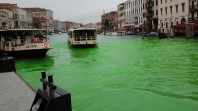 El Gran Canal de Venecia aparece teñido de verde por una protesta ambiental