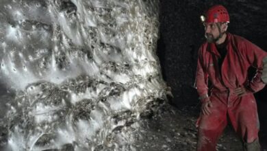 Encuentran en una cueva la red arácnida más grande, habitada por 111.000 arañas