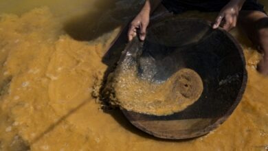 FANB desmantela campamento de minería ilegal en Amazonas