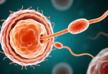 Confirman primer embarazo exitoso con recuperación de esperma asistida por IA