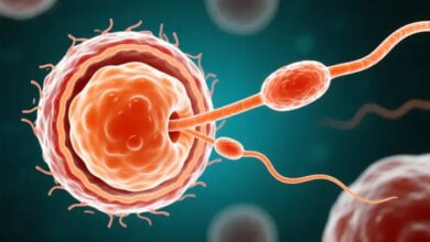 Confirman primer embarazo exitoso con recuperación de esperma asistida por IA