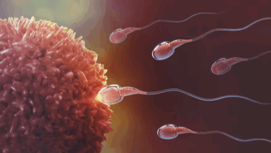 La IA logra el primer embarazo confirmado usando espermatozoides "invisibles"