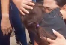 Niña de 6 años desaparecida en Guarenas es hallada sana y salva