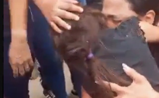 Niña de 6 años desaparecida en Guarenas es hallada sana y salva