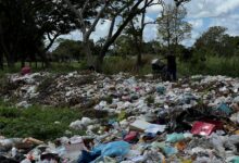 Vecinos del parque del Este solicitan rescatar estos espacios para la recreación