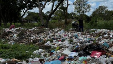 Vecinos del parque del Este solicitan rescatar estos espacios para la recreación
