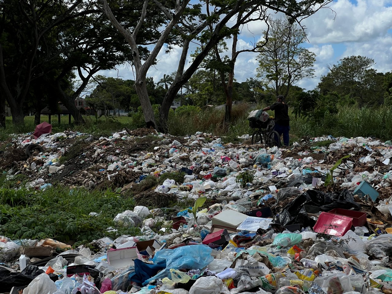 Vecinos del parque del Este solicitan rescatar estos espacios para la recreación