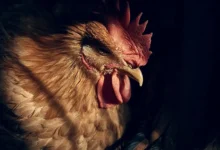 EEUU registra la primera muerte de una persona con el virus H5N5 de gripe aviar