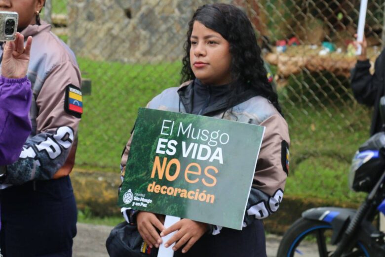 Evitarán extracción y comercialización del musgo en bosques y páramos venezolanos en temporada decembrina