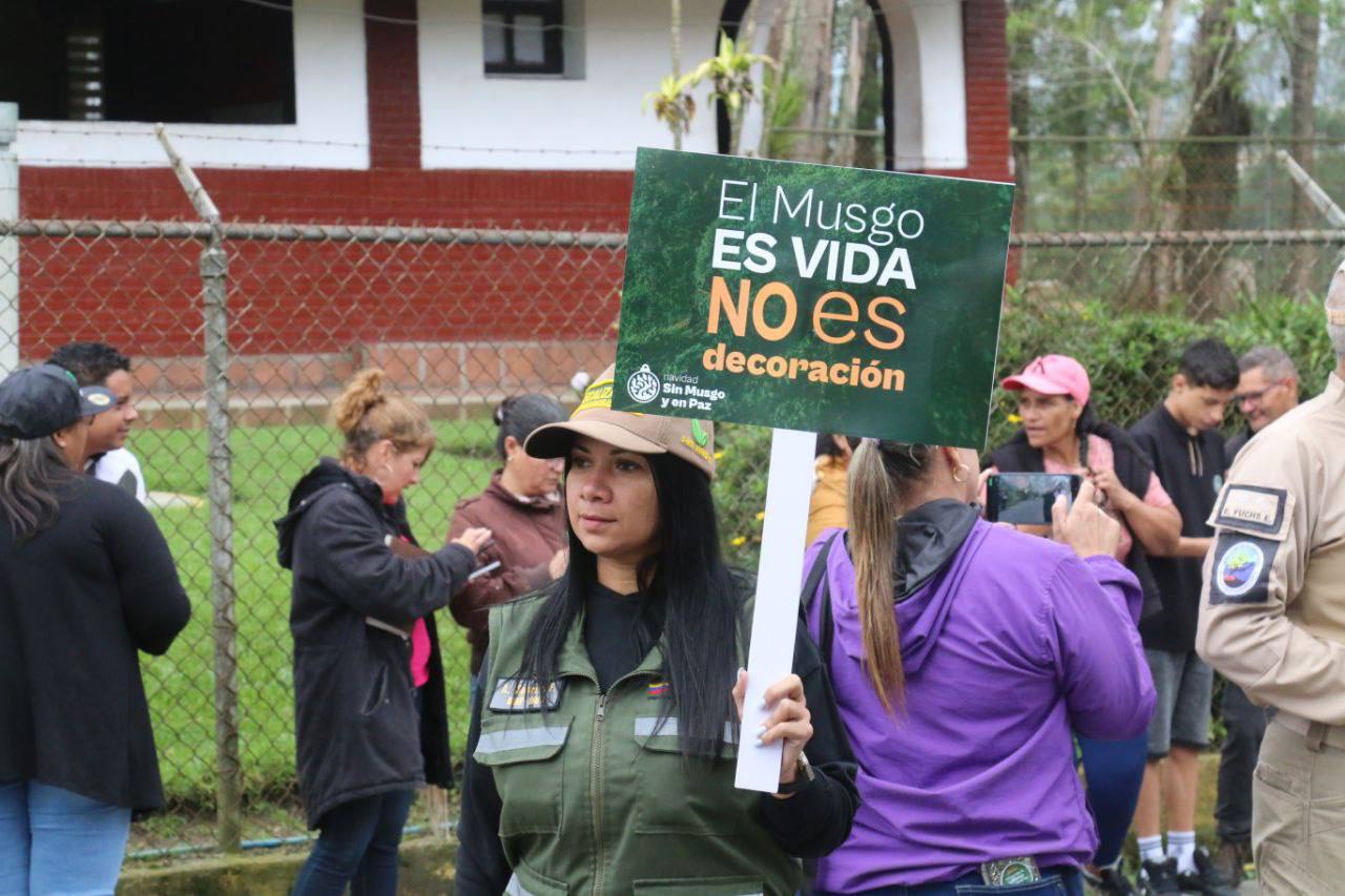 Evitarán extracción y comercialización del musgo en bosques y páramos venezolanos en temporada decembrina