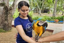 Parque La Guaricha impulsa programa de estimulación sensorial y musicoterapia para niños con TEA y TDAH