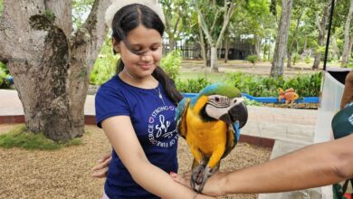 Parque La Guaricha impulsa programa de estimulación sensorial y musicoterapia para niños con TEA y TDAH