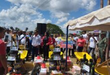 87 comunidades de Libertador beneficiadas con Plan de Embellecimiento