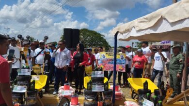 87 comunidades de Libertador beneficiadas con Plan de Embellecimiento