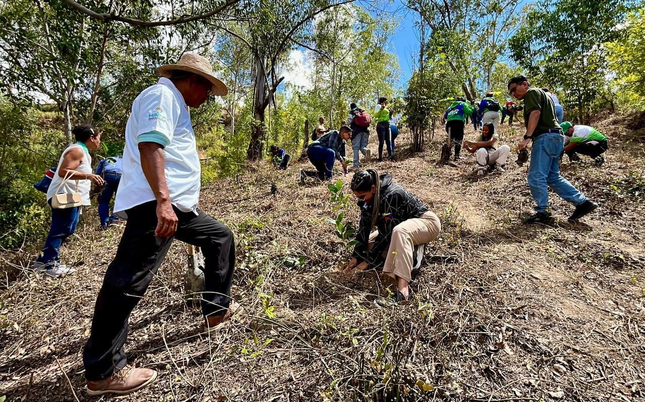 Plantan más de 32 mil especies durante Jornada Nacional de Reforestación
