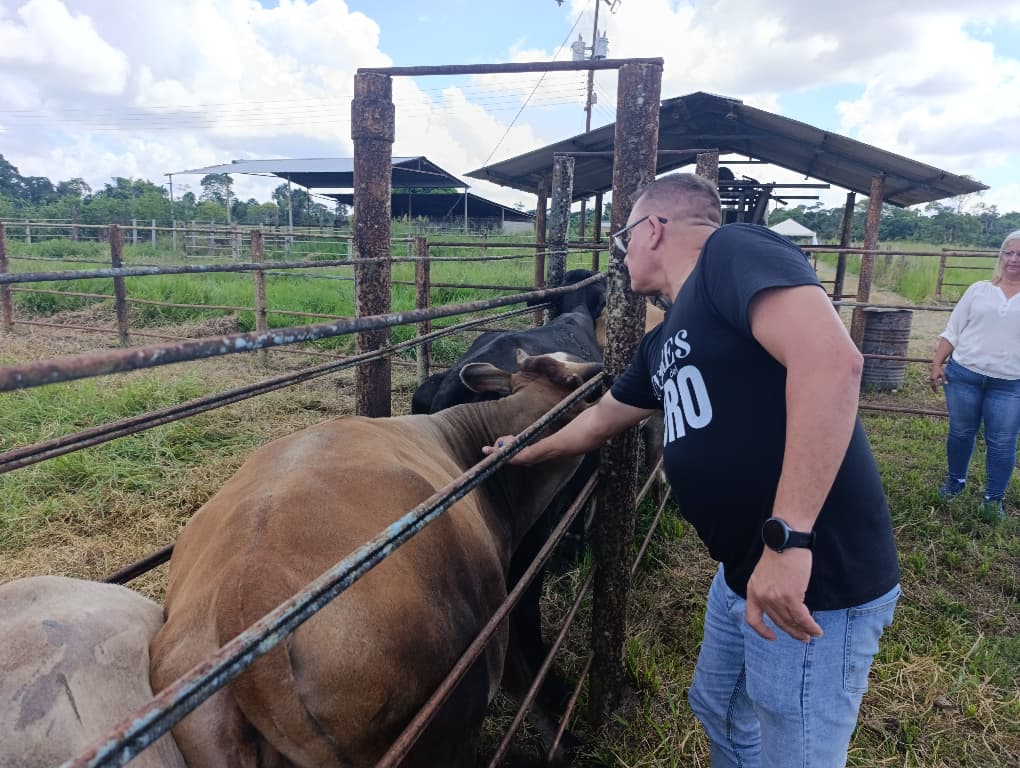 Inicia jornada masiva de vacunación contra la fiebre aftosa para prevenir brotes en el municipio