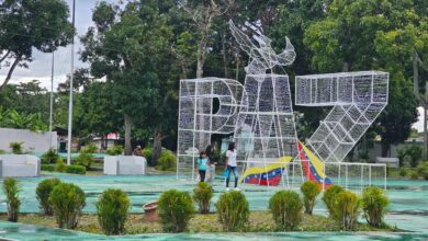 Vandalizan las decoraciones navideñas de Maturín a días del encendido