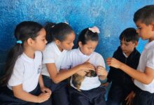 El Zoológico va a la escuela: sensibilizan a niños sobre el cuidado de la fauna y flora