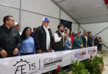 Monagas Expo Agroindustrial 2025 exhibe más de 500 ejemplares bovinos de alta genética