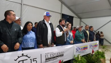 Monagas Expo Agroindustrial 2025 exhibe más de 500 ejemplares bovinos de alta genética