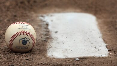 Así fue la jornada de este lunes 17 de noviembre en la LVBP