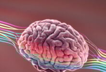 Crean una herramienta que predice el riesgo de padecer Alzheimer años antes de que aparezcan los síntomas