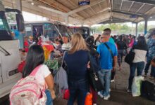 Afluencia de pasajeros en el Terminal de Maturín aumenta un 15% por la Expo Flor y Café Caripe.