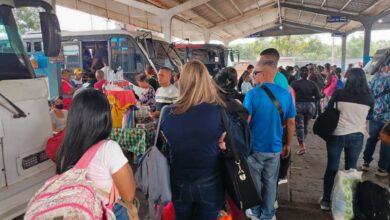 Afluencia de pasajeros en el Terminal de Maturín aumenta un 15% por la Expo Flor y Café Caripe.