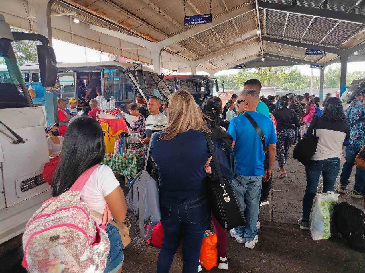 Afluencia de pasajeros en el Terminal de Maturín aumenta un 15% por la Expo Flor y Café Caripe.