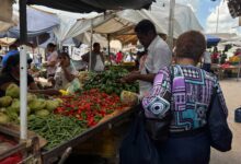 Ventas de aliños se encuentran bajas a pesar de que se acerca la temporada decembrina.