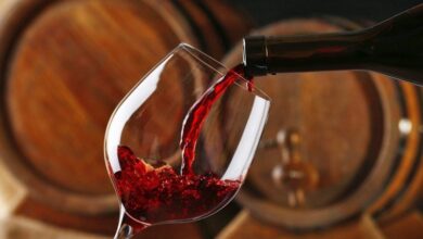 ¿Crianza, Reserva o Gran Reserva? Las claves para elegir el vino tinto perfecto en su Día Mundial