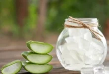 Aloe vera y miel: El dúo dinámico para regenerar la piel de las manos