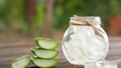 Aloe vera y miel: El dúo dinámico para regenerar la piel de las manos