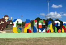 Calcinado muere sexagenario dentro de su vehículo en Caicara